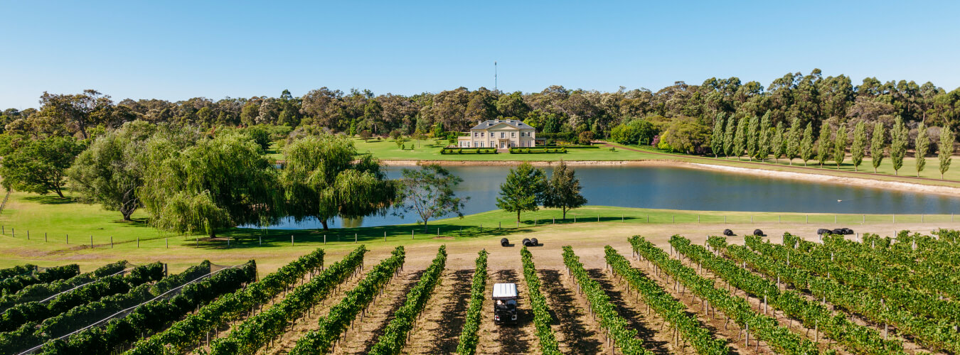 winery