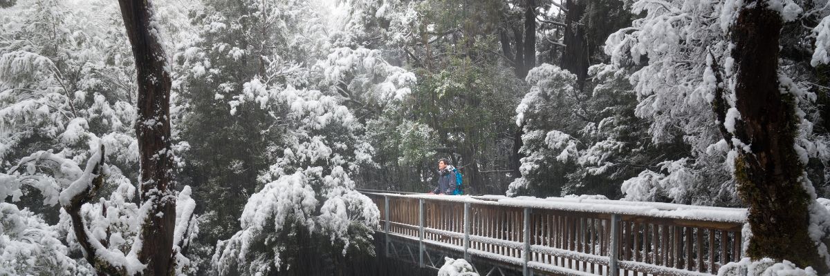 Falls Creek