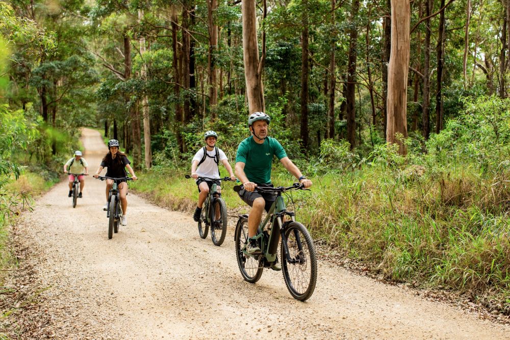 4 people riding bikes down dirt trail